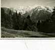 74 - LE MONT BLANC Vu De PASSY-photo GUEBRIANT-   (années60)-smn&b  Dentelée - - Passy