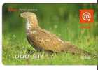 Slovenia Birds - Flier- Vogel - Oiseaux - Oiseau - Pajaro - Eagle - Falcon - Aigle - Bird PERNIS APIVORUS (paper Card) - Slovénie