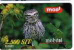 Birds Of Pray - Oiseaux - Bird - Oiseau - Owl - Eule - Hibou – Owls - Chouette - Slovenia ATHENE NOCTUA ( Plastic Card) - Eulenvögel
