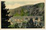 Remouchamps Le Pont Carte Couleur (b834) - Aywaille