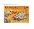 Kazakstan - Turtle MNH** ...  Tortoise – Tortuga – Schildkroete – Tartaruga – Tortue – Turtles - Agrionemys Horsfieldi - Turtles