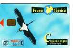 Spain - Serie Fauna Iberica - Fauna - Faune - Animaoux - Bird - Oiseau - Vogel - Oiseaux - Birds - CICONIA NIGRA - Other & Unclassified
