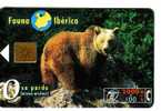 Spain - Serie Fauna Iberica - Fauna - Faune - Animaoux - Bear – Grizzly – Baer – Oso – Ours – Orso - URSUS ARCTOS - Dschungel