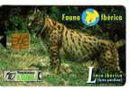 IBERIAN LYNX - Fauna Iberica ( Spain ) Lynx Pardinus Pardina Pardel - Lynx Ibérique Luchs Lince Animals Animal Animaux - Jungle