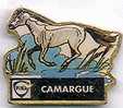 FINA.serie Touristique.Camargue. Le Cheval Camarguais - Carburantes