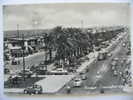 CPA ITALIE  TOSCANE  VIAREGGIO   VOYAGE 1953    Italia - Viareggio