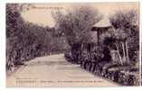 VERITABLE CARTE POSTALE  DES ENVIRONS  DE NICE CAP FERRAT PROMENADE DANS LES SOUS BOIS   VOILA! COMMENT C'ETAIT!! 1903 - Saint-Jean-Cap-Ferrat