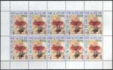 VATICAN -2005 - SIEGE VACANT 2005 3 BF X 10 TIMBRES ** - Ongebruikt