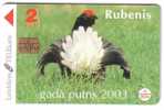 Fauna – Faune - Birds - Oiseau - Vogel - Voegel – Oiseaux - Uccello – Pajaro - Bird - Latvia Rubenis - Andere & Zonder Classificatie