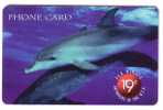 Dolphin - Delphin - Delfin- Dauphin - Delfino- Dauphine - Dolphins - Dauphins - USA #1. - Fish