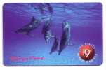 Dolphin - Delphin - Delfin- Dauphin - Delfino- Dauphine - Dolphins - Dauphins - USA #2. - Poissons