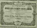 RARE : CHEMINS DE FER DE BOURGES A GIEN & D´ARGENT A BEAUME LA ROLANDE ( 1875 ) - Railway & Tramway