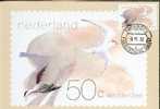 PAYS BAS CARTE MAXIMUM NUM.YVERT 1179 STERNE OISEAUX  PROTECTION DE LA NATURE - Cartas Máxima