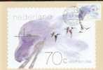 PAYS BAS CARTE MAXIMUM NUM.YVERT 1180 BERNACHE NONNETTE  OISEAUX  PROTECTION DE LA NATURE - Maximumkarten (MC)