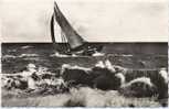 Bateau De Pêche. - Fishing Boats