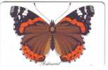 Fauna - Faune - Butterfly - Papillon - Butterflies - Schmetterling - Mariposa - Farfalla - Papillons - Germany ADMIRAL - Mariposas
