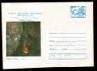 CAVE Entiere Postal Stationery Code 1984/108 ROMANIA - Other & Unclassified