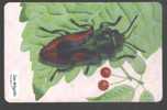 CZECH REPUBLIC - C295 - INSECT - CHERRY - Repubblica Ceca