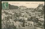 Le Morvan Illustré. Saulieu Le Champ De Foire ,très Animée - Saulieu