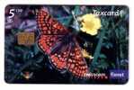 BUTTERFLY ( Switzerland ) * Papillon Butterflies Papillons Mariposa Farfalla Bear Panda Logo World Wide Fund WWF - Butterflies