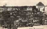 17 SAUJON Place Du Champ De Foire, Marché Aux Boeufs, Trés Animée, Ed Vinsonneau 2, 1903 TOP+++ - Saujon