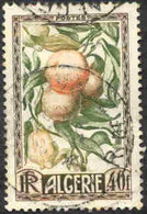 Pays :  19 (Algérie Avant 1957)   Yvert Et Tellier N°: 281 (o) - Usados