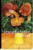 MUSHROOMS - Germany Old Card Mushroom Champignon Funghi Champignons Pilz Pilze Champinon Champinones Cogumelo Cogumelos - P & PD-Series: Schalterkarten Der Dt. Telekom