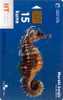 TRANSPARENT Card MORSKI KONJIC ( Croatia ) Seahorse - Hippocampe - Seepferdchen - Caballito De Mar - Cavalluccio Marino* - Caballos