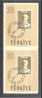 TURKEY 20 KURUS - ACADEMY OF ARTS - 1957, PAIR IMPERFORATED BETWEEN - Unused Stamps