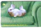 Singapore - Singapour - Rabbit - Conejo - Coniglio - Lapin – Kaninchen - RARE Card  50$  ( Code 133SIGE ) - Singapour