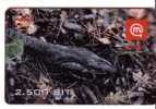 Slovenia Birds - Vogel - Oiseau - Voegel - Oiseaux - Uccello - Pajaro -  Bird C.Europaeus ( Plastic Card) - Other & Unclassified