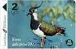 LATVIA LAPWING - BIRD OF THE YEAR 2000 - Other & Unclassified