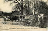 COLONIE ST MAURICE  -  LAMOTTE BEUVRON   -  TRAVAUX DE LA FERME TRES BEAU PLAN D ATTELAGE DE BOEUFS TRES BELLE ANIMATION - Lamotte Beuvron