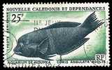 Nouvelle Calédonie-O (Y/T No, PA-083 - Aquarium De Nouméa) (o) - Used Stamps