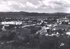 Cpsm Brignoles (83, Var) Vue Générale - Brignoles