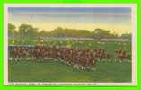 THE ROYAL CANADIAN MOUNTED POLICE - THE MUSICAL RIDE - WELL ANIMATED - - Politie-Rijkswacht