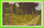 NIAGARA FALLS,ONTARIO - SHRUBS AND ROSE GARDEN NEAR ADM. BUILDING - - Chutes Du Niagara