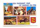 Cpm Haras Du Pin - Ippica
