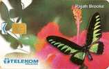 Malaysia - Butterfly - Rajah Brooke - Autres & Non Classés