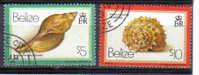 Belize 1984 Coquillages High Values $5 Et $10 Obl - Belice (1973-...)