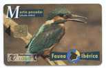 Espana - Fauna Iberica - Martin Pescador - 1000 Pesetas. - Emisiones Básicas