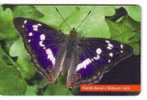 PAPILLON ( Slovak Republic ) * Butterfly - Butterflies - Schmetterling – Papillons - Mariposa - Farfalla - Mariposas