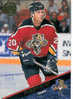 HOCKEY SUR GLACE CARTE JOUEUR DE LA NHL 1993 BRIAN SKRUDLAND - Eishockey