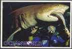 Skin Diver Feeding Large Shark - Fish & Shellfish