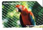 PARROTS - Poland Old Rare Card Parrot Perroquet Papagei Papageien Perroquets Pappagallo Papagaio Loro Pappagalli Loros - Polonia