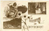 Souvenir De CHEVREMONT - Carte 3 Photos.1920 - Chaudfontaine