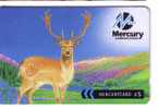 DEER ( England Mercury Card ) *** Daim - Cerf - Buck - Hirsch - Ciervo - Cervo - Hert - Deers - Daims - Bucks * - Giungla