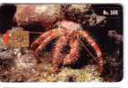 Undersea – Marine Life – Underwatter- Crab - Crabe  Crabs - Fish – Fisch – Poisson –  Venezuela (see Scan For Condition) - Vissen