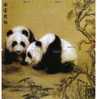 Animals – Fauna - Faune - Bear – Grizzly – Baer – Oso – Ours – Orso - Panda -  PUZZLE Of 6.cards - Oerwoud