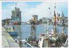 Bateaux De Peche Dont Le "TOUBABOU" , Dans Le Port De La Rochelle ;TB - Fishing Boats